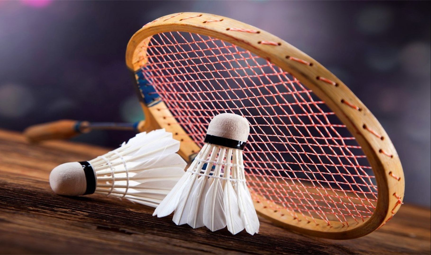 选手相比 选手相比