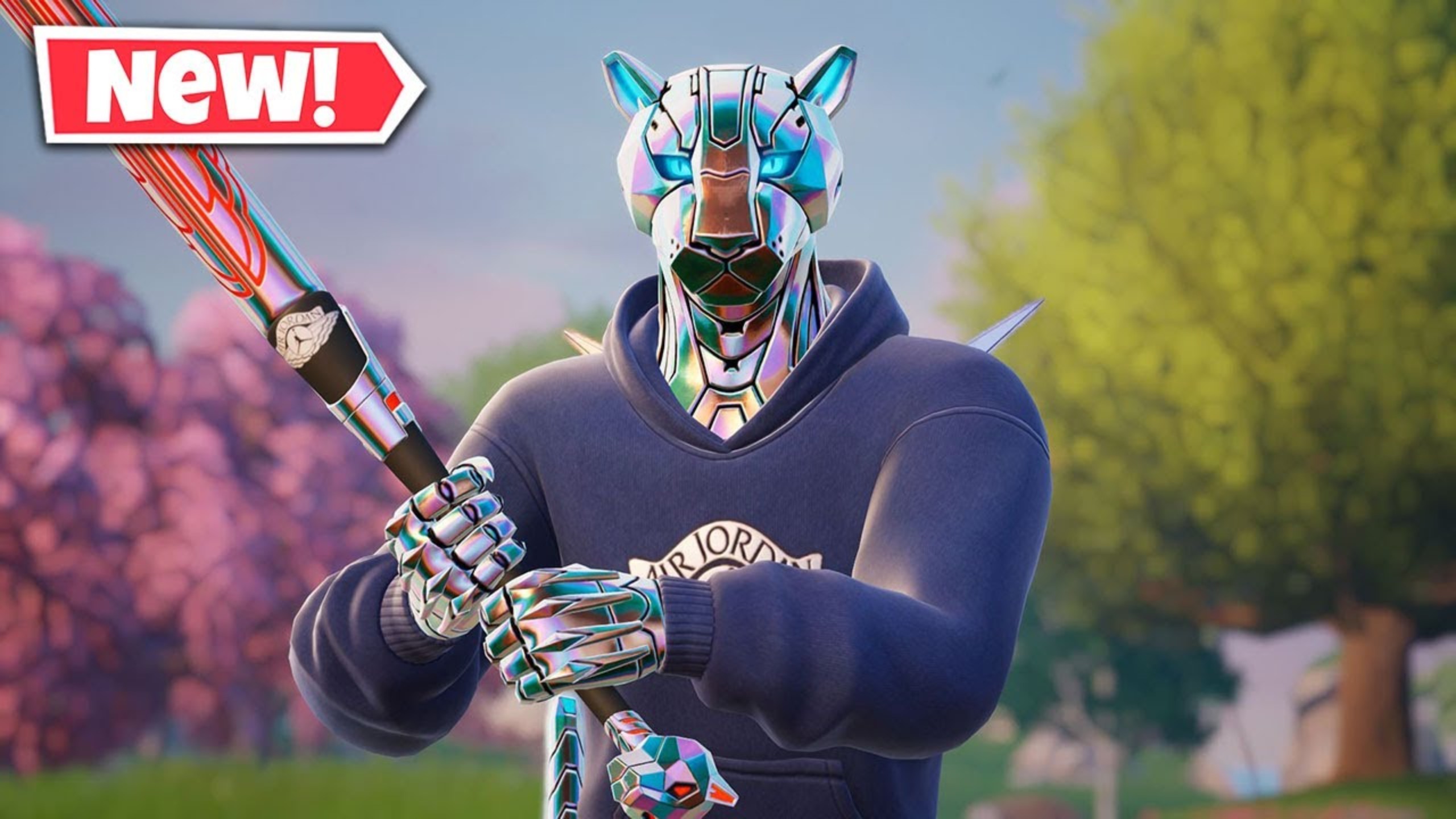 北京女篮的 北京女篮的